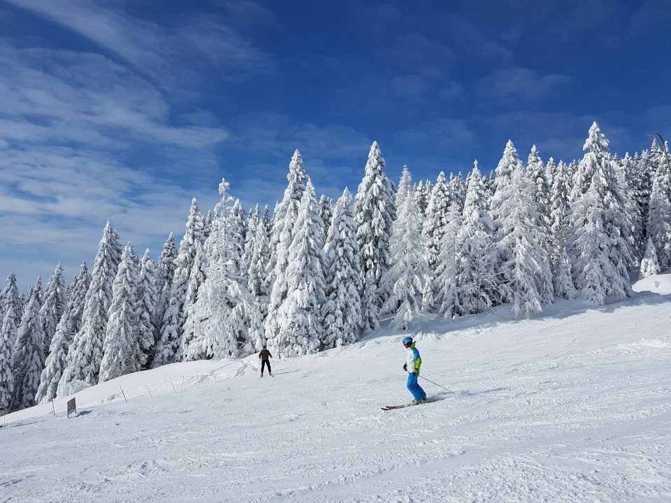 Slovenski šport