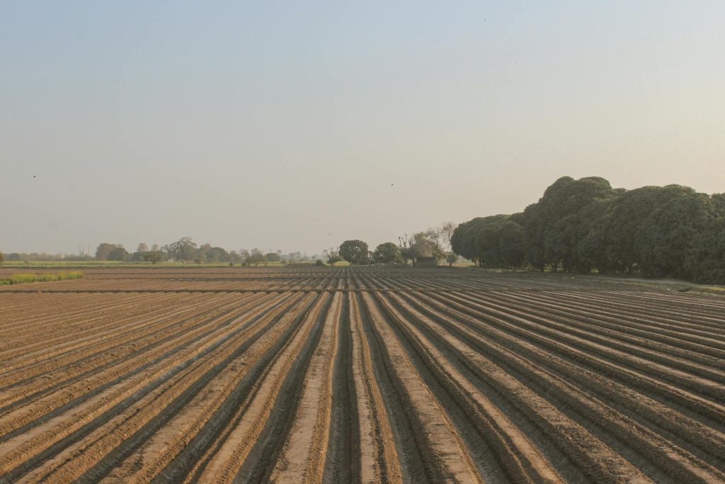 SCHÄFFER zglobni utovarivači