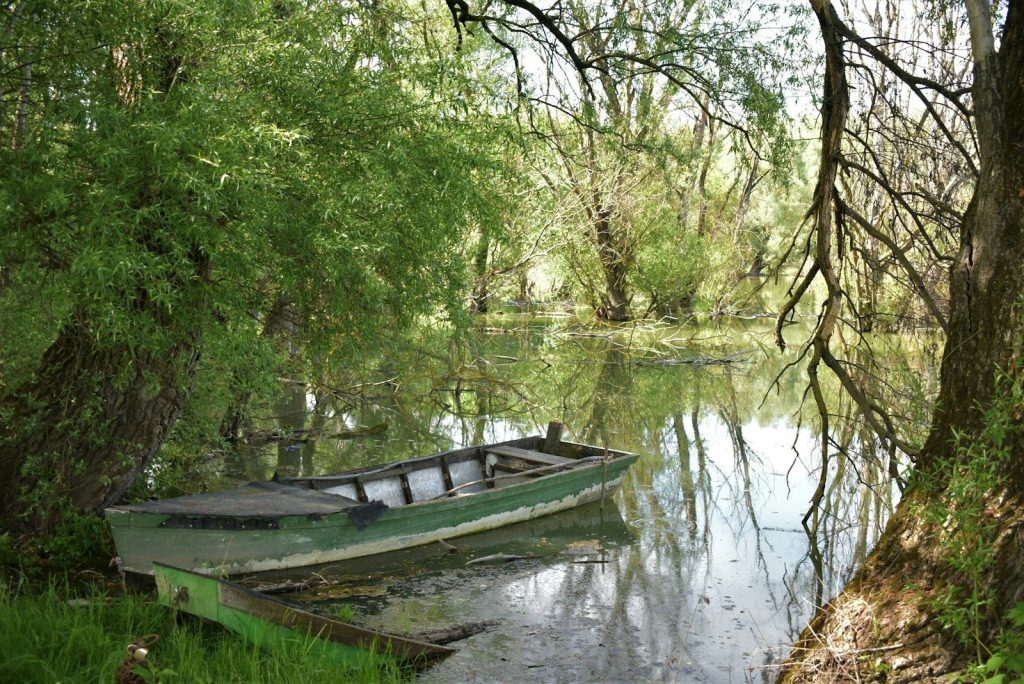 vodostaj Dunava